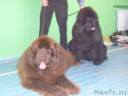 Превью фото № 152001