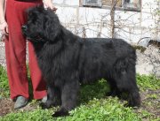 Превью фото № 152108