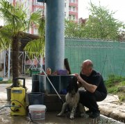 Превью фото № 152153