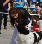 Превью фото № 152170