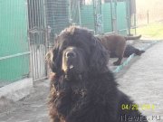 Превью фото № 152177