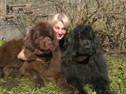 Превью фото № 152193