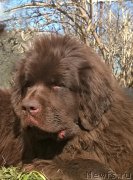 Превью фото № 152196