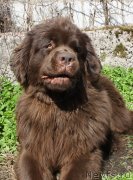 Превью фото № 152197