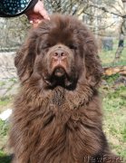 Превью фото № 152200