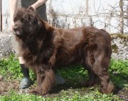 Превью фото № 152211