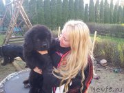 Превью фото № 152227