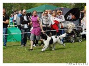 Превью фото № 152318