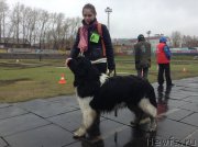 Превью фото № 152335