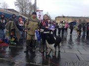 Превью фото № 152339