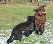 Превью фото № 152388