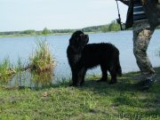 Превью фото № 152437