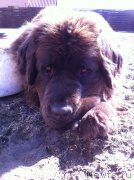 Превью фото № 152452