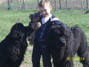 Превью фото № 152465