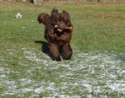 Превью фото № 152483