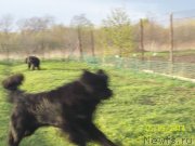 Превью фото № 152495