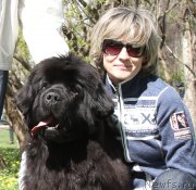 Превью фото № 152504