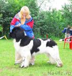 Превью фото № 15254