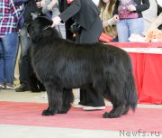 Превью фото № 152557