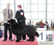 Превью фото № 152558