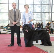 Превью фото № 152559