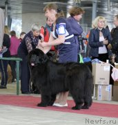 Превью фото № 152563