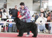 Превью фото № 152565