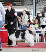 Превью фото № 152566