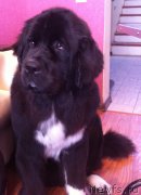 Превью фото № 152629