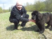 Превью фото № 152631