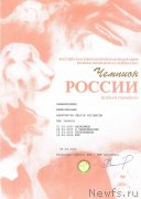 Превью фото № 152643