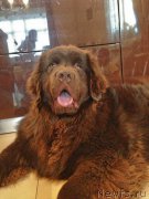 Превью фото № 152644