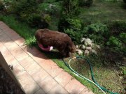 Превью фото № 152678