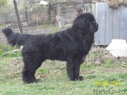 Превью фото № 152683