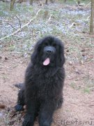 Превью фото № 152718