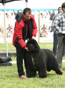 Превью фото № 152814