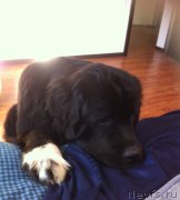 Превью фото № 152838