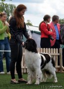 Превью фото № 152868