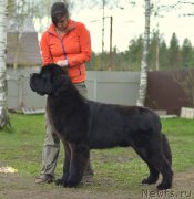 Превью фото № 152870