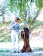 Превью фото № 152893