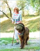 Превью фото № 152894