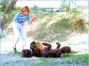 Превью фото № 152896