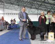 Превью фото № 152909