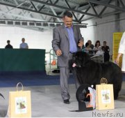 Превью фото № 152910