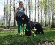 Превью фото № 152937