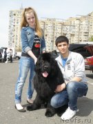 Превью фото № 152984