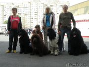 Превью фото № 152986