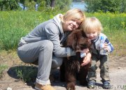 Превью фото № 153022