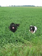 Превью фото № 153188