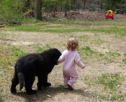 Превью фото № 153196